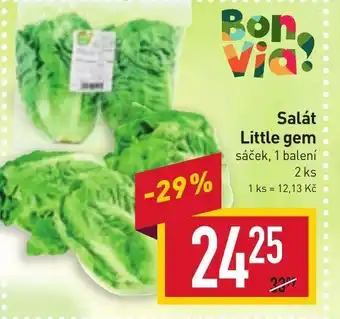 Billa Salát Little gem nabídka