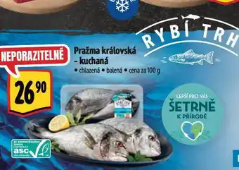 Albert Pražma královská - kuchaná nabídka