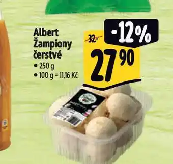 Albert Albert žampiony čerstvé nabídka