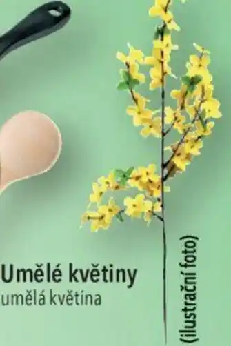 Globus Umělé květiny nabídka