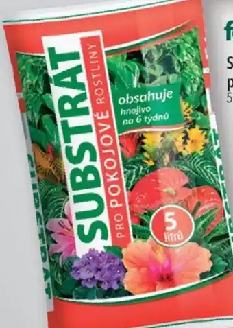 Globus Substrát pro pokojové rostliny nabídka