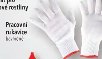Globus Pracovní rukavice nabídka