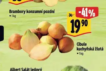 Albert Cibule kuchyňská žlutá nabídka