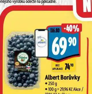 Albert Albert borůvky nabídka