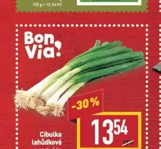 Billa Cibulka lahůdková nabídka