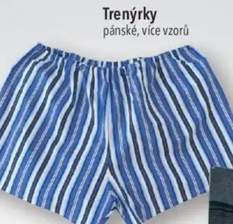 Globus Trenýrky pánské, více vzorů nabídka