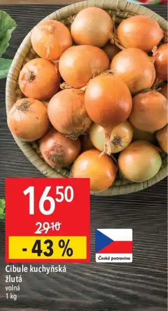 Globus Cibule kuchyňská žlutá nabídka