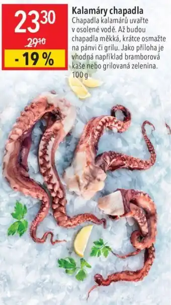 Globus Kalamáry chapadla nabídka