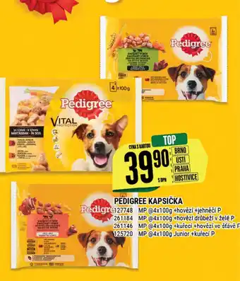 Tamda Foods PEDIGREE KAPSIČKA nabídka