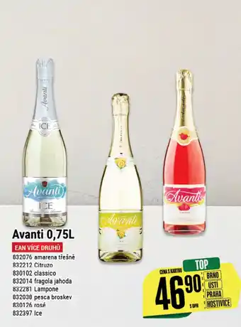 Tamda Foods Avanti 0,75L nabídka