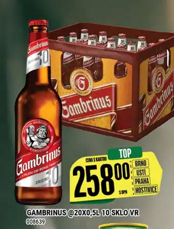 Tamda Foods GAMBRINUS 20X0,5L 10 SKLO VR nabídka