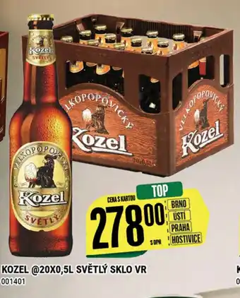 Tamda Foods KOZEL 20X0,5L SVĚTLÝ SKLO VR nabídka