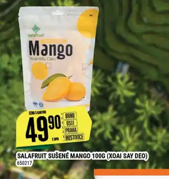 Tamda Foods SALAFRUIT SUŠENÉ MANGO 100G (XOAI SAY DEO) nabídka