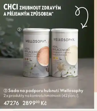 Sada na podporu hubnutí Wellosophy