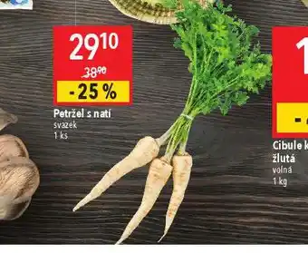 Globus Petržel s natí nabídka