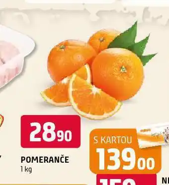 Terno Pomeranče nabídka