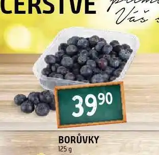 Terno Borůvky nabídka