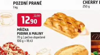 Terno Mřížka pudink a maliny nabídka
