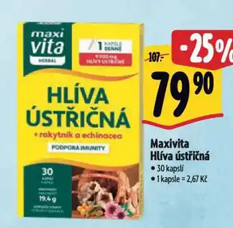 Albert Maxivita hlíva ústřičná nabídka