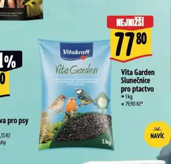 Albert Vita garden slunečnice nabídka