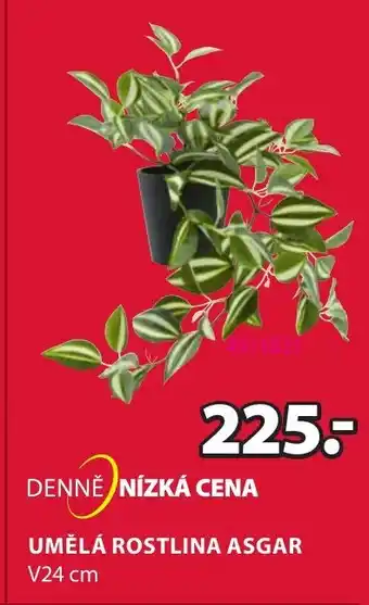 JYSK UMĚLÁ ROSTLINA ASGAR nabídka
