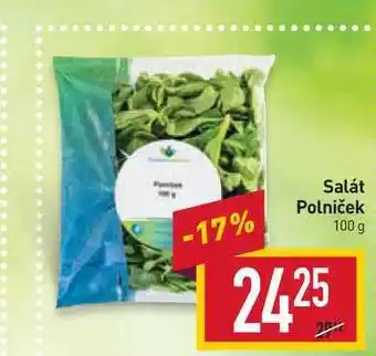 Billa Salát polniček 100 g nabídka