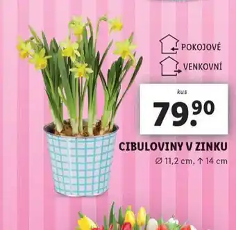 Lidl Cibuloviny v zinku nabídka