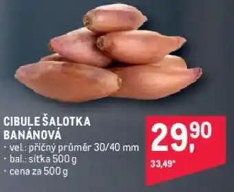 Makro CIBULE ŠALOTKA BANÁNOVÁ nabídka