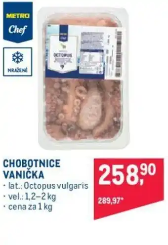 Makro CHOBOTNICE VANIČKA nabídka
