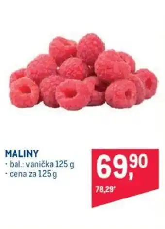 Makro MALINY nabídka