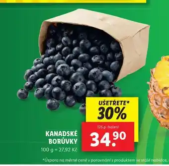 Lidl Kanadské borůvky nabídka