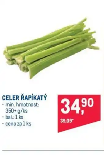 Makro CELER ŘAPÍKATÝ nabídka