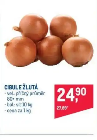 Makro CIBULE ŽLUTÁ nabídka