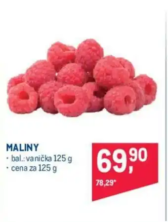 Makro MALINY nabídka
