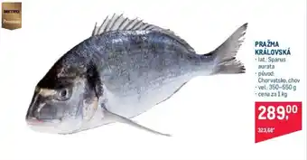 Makro PRAŽMA KRÁLOVSKÁ nabídka