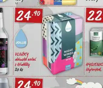 Terno Vložky dámské noční s křidélky nabídka