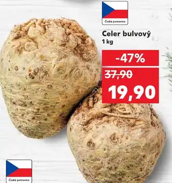 Kaufland Celer bulvový 1 kg nabídka