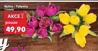 Kaufland Kytice Tulipány nabídka