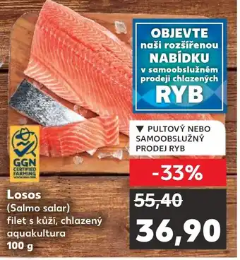 Kaufland Losos nabídka