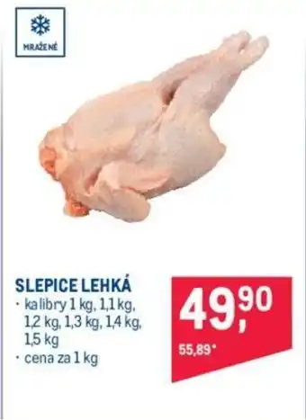 Makro SLEPICE LEHKÁ nabídka