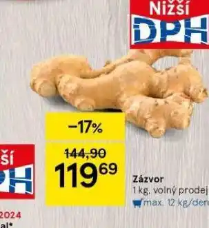 Zázvor