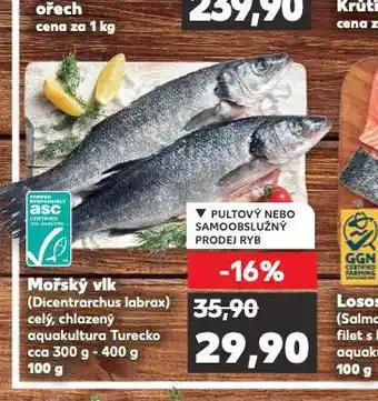 Kaufland Mořský vlk nabídka