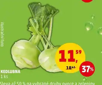 Penny Market KEDLUBNA nabídka