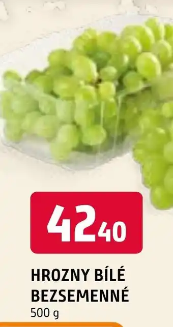 Terno HROZNY BÍLÉ BEZSEMENNÉ nabídka