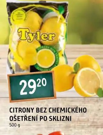 Terno CITRONY BEZ CHEMICKÉHO OŠETŘENÍ PO SKLIZNI nabídka