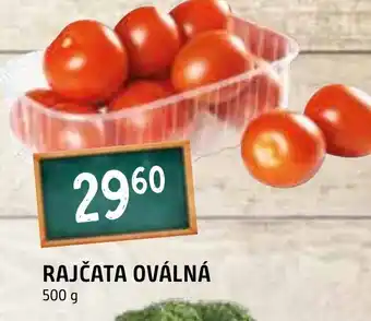 Terno RAJČATA OVÁLNÁ nabídka