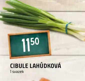 Terno CIBULE LAHŮDKOVÁ nabídka