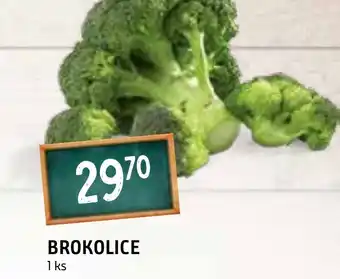 Terno BROKOLICE nabídka