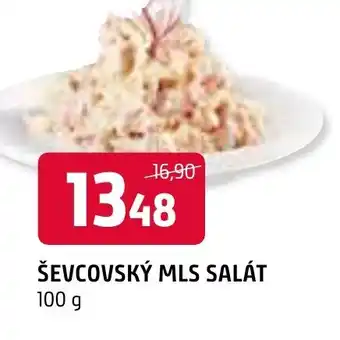 Terno ŠEVCOVSKÝ MLS SALÁT nabídka