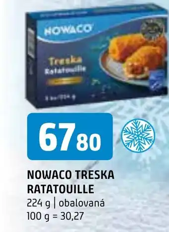 Terno NOWACO TRESKA RATATOUILLE nabídka